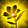Flower Growing