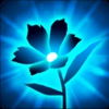 Flower Growing